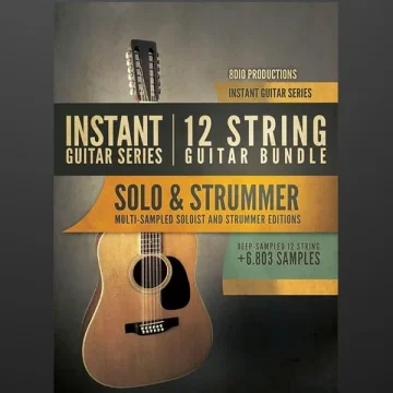 8Dio – Instant Guitar Series 12-String Guitar Bundle Free Download